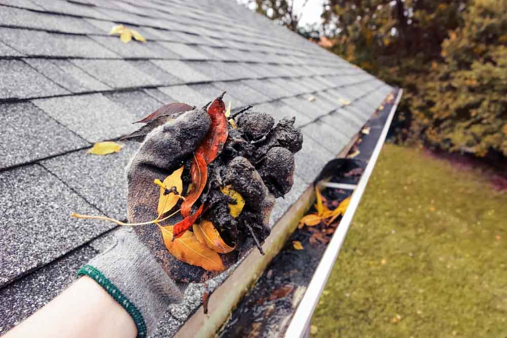 Dirty roof gutters Dirty roof gutters